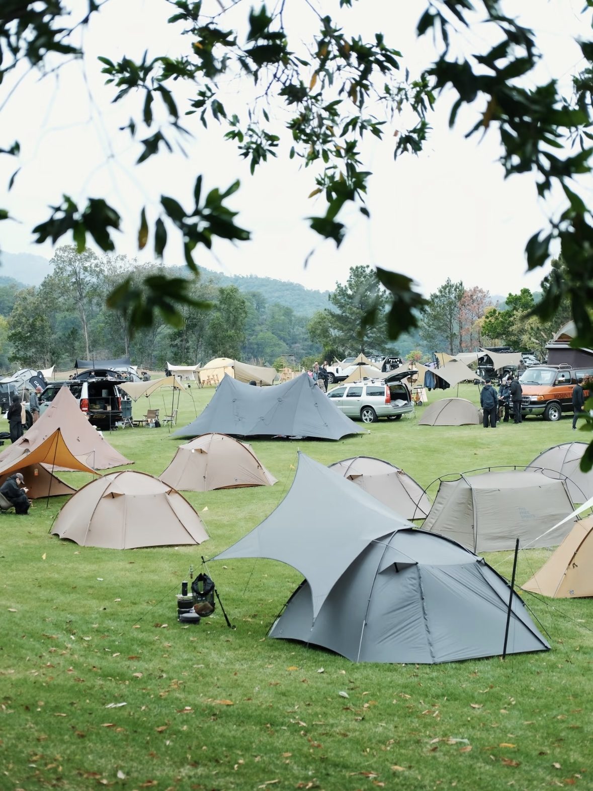 CAMPsomeWHERE community in the field